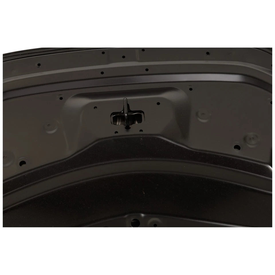 Lexus NX350h 2022-2024, capó - LX1230139 - Compatible con el número de pieza 53301F6010