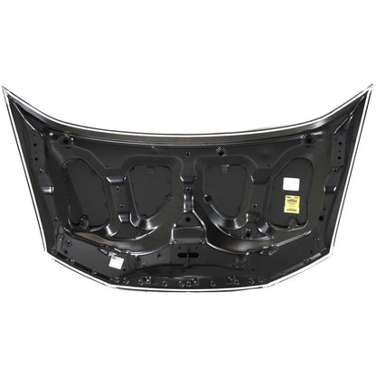 2010-2014 HONDA INSIGHT, Hood - HO1230160 - Fits Part Number 60100TM8A90ZZ