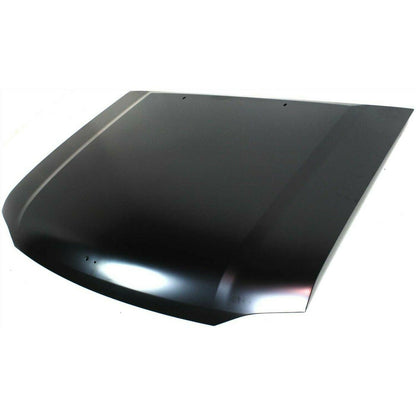 2001-2004 Nissan Frontier Hood