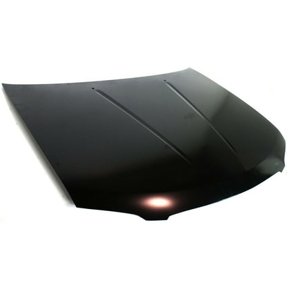 2004-2006 Nissan Sentra Hood