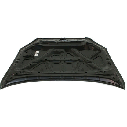 2005-2006 Nissan Altima Hood