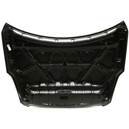 2008-2009 Nissan Altima Coupe Hood