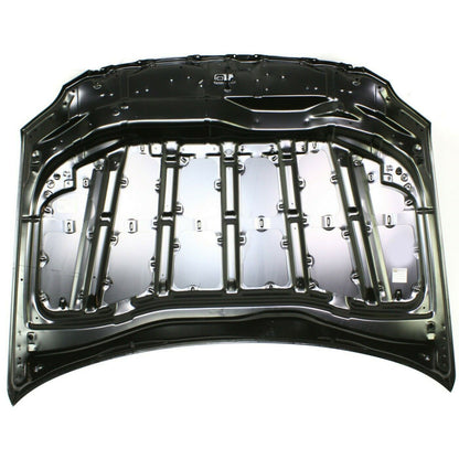 2005-2010 Toyota Avalon Hood