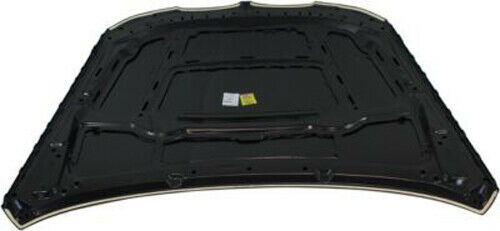 2009-2011 BMW 3-Series Sedan/Wagon Hood